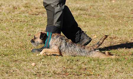 101016B