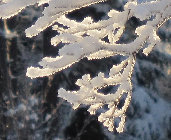 101203C
