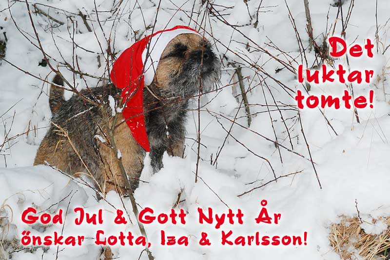 KarlssonGodJul2010