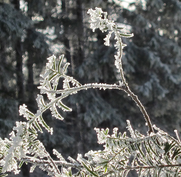 110122F