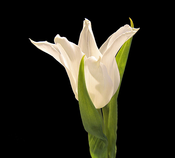 110212A