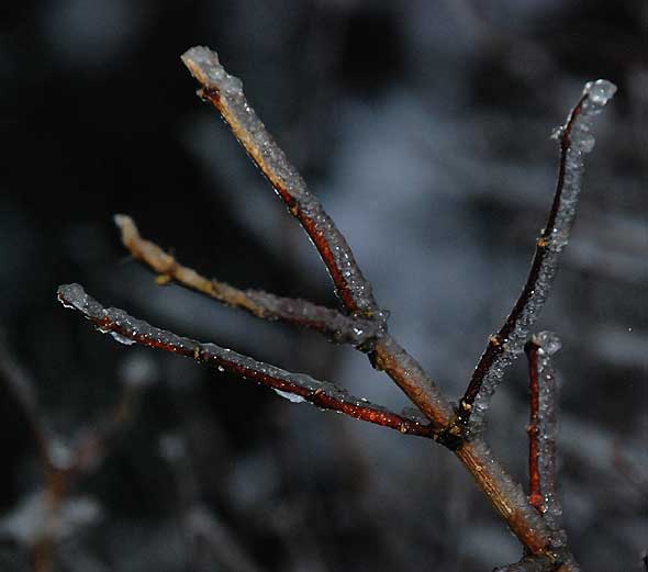 120101F
