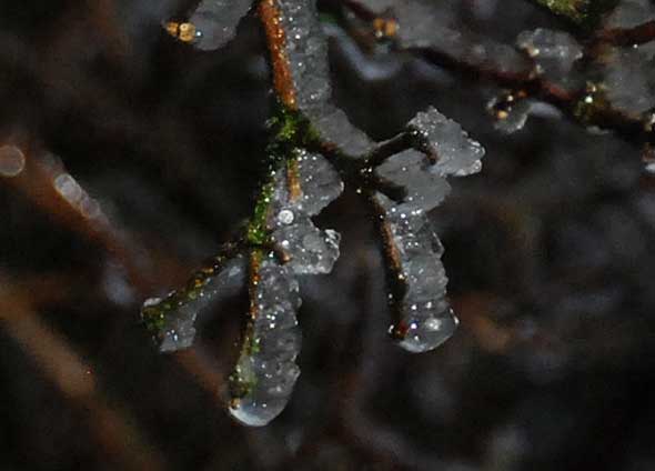 120101H