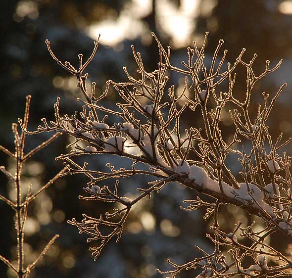 120124B