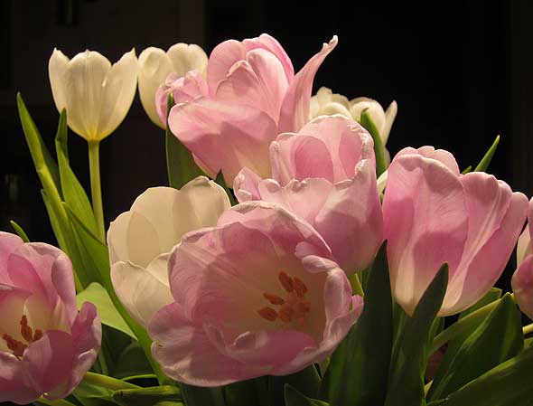 120130A