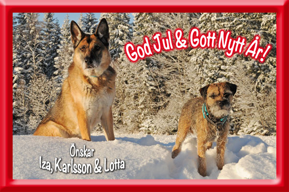 Julkort_IzaKarlsson_2012_bl