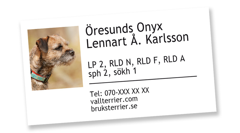 visitkort_karlsson_2