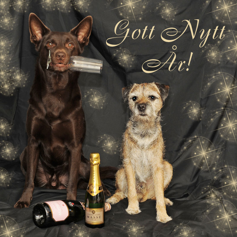 GottNyttAr2018_webb